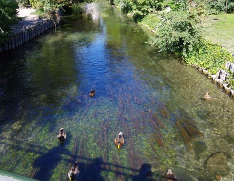 アヴィニョン発　プロヴァンスの日曜日・リルシュルラソングの骨董市＜4月～10月ランチ付き＞