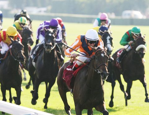 【ヨーロッパ競馬の最高峰10月2日(日)限定】凱旋門賞観戦ツアー 自由席 【ヨーロッパ競馬の最高峰10月2日(日)限定】凱旋門賞観戦ツアー 自由席