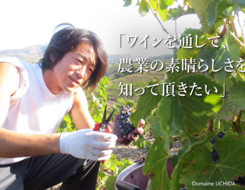 【12/11(金)21:00~(日本時間)】世界で活躍する日本人 オンラインワインセミナー 【12/11(金)21:00~(日本時間)】世界で活躍する日本人 オンラインワインセミナー